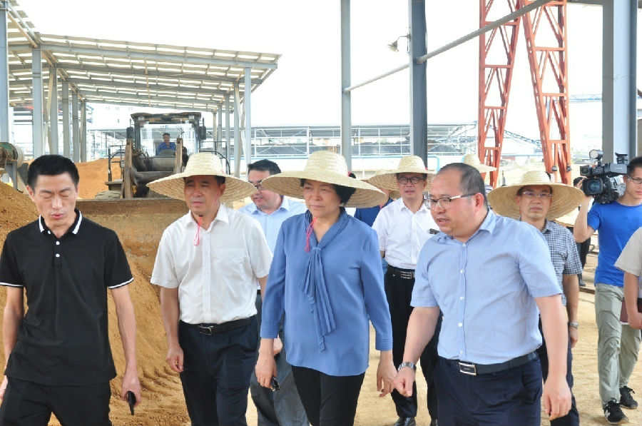 自治區(qū)黨委常委、副主席嚴(yán)植嬋一行蒞臨廣西銀億調(diào)研